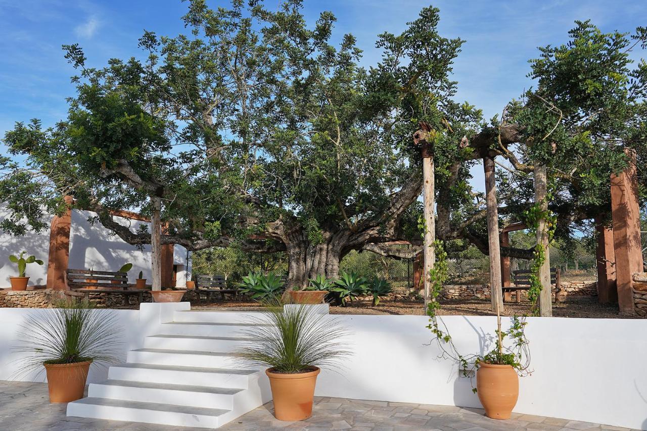 Sant Antoni de Portmany Villa Can Vicent מראה חיצוני תמונה